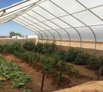 آیا ورق های پلی کربنات برای پوشش گلخانه مناسب است؟