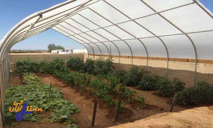 آیا ورق های پلی کربنات برای پوشش گلخانه مناسب است؟