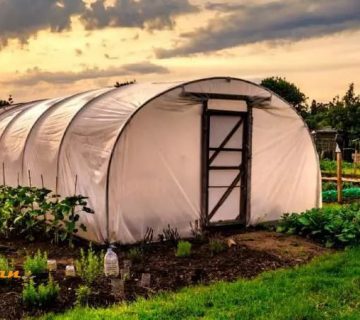 نقش گلخانه پلی کربنات در کشاورزی ارگانیک