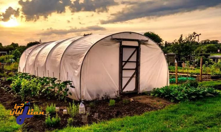 نقش گلخانه پلی کربنات در کشاورزی ارگانیک