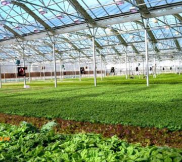 مقرون به صرفه بودن گلخانه های پلی کربنات