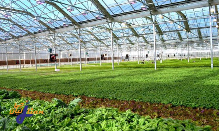 مقرون به صرفه بودن گلخانه های پلی کربنات