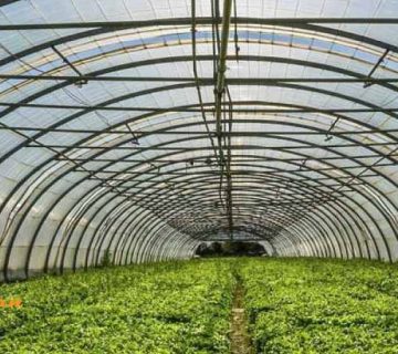 راهکارهای جذاب برای پوشش سقف گلخانه
