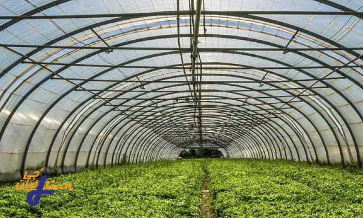 راهکارهای جذاب برای پوشش سقف گلخانه